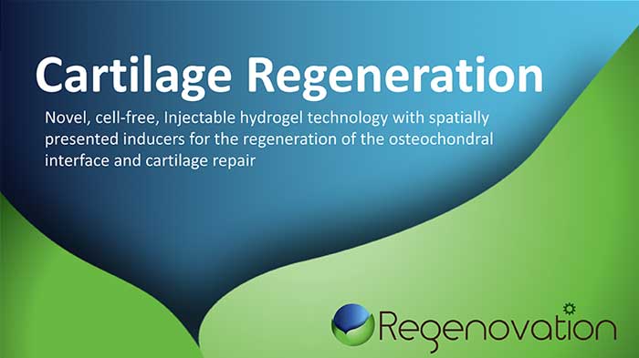 ppt websites english israel