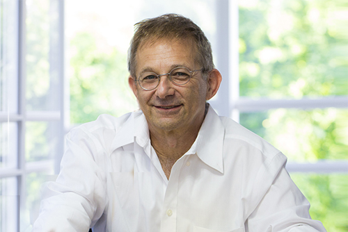 wordpress consultant